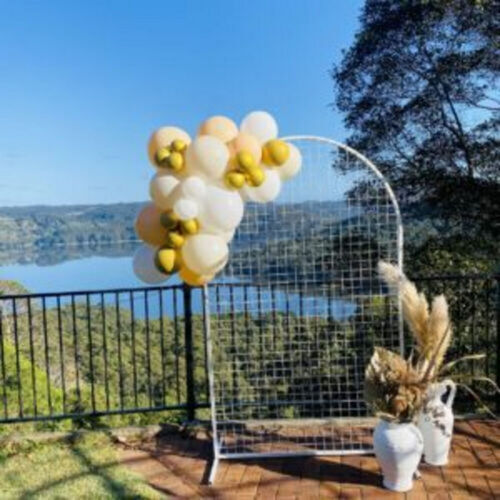 1M BALLOON GARLAND – INFLATED