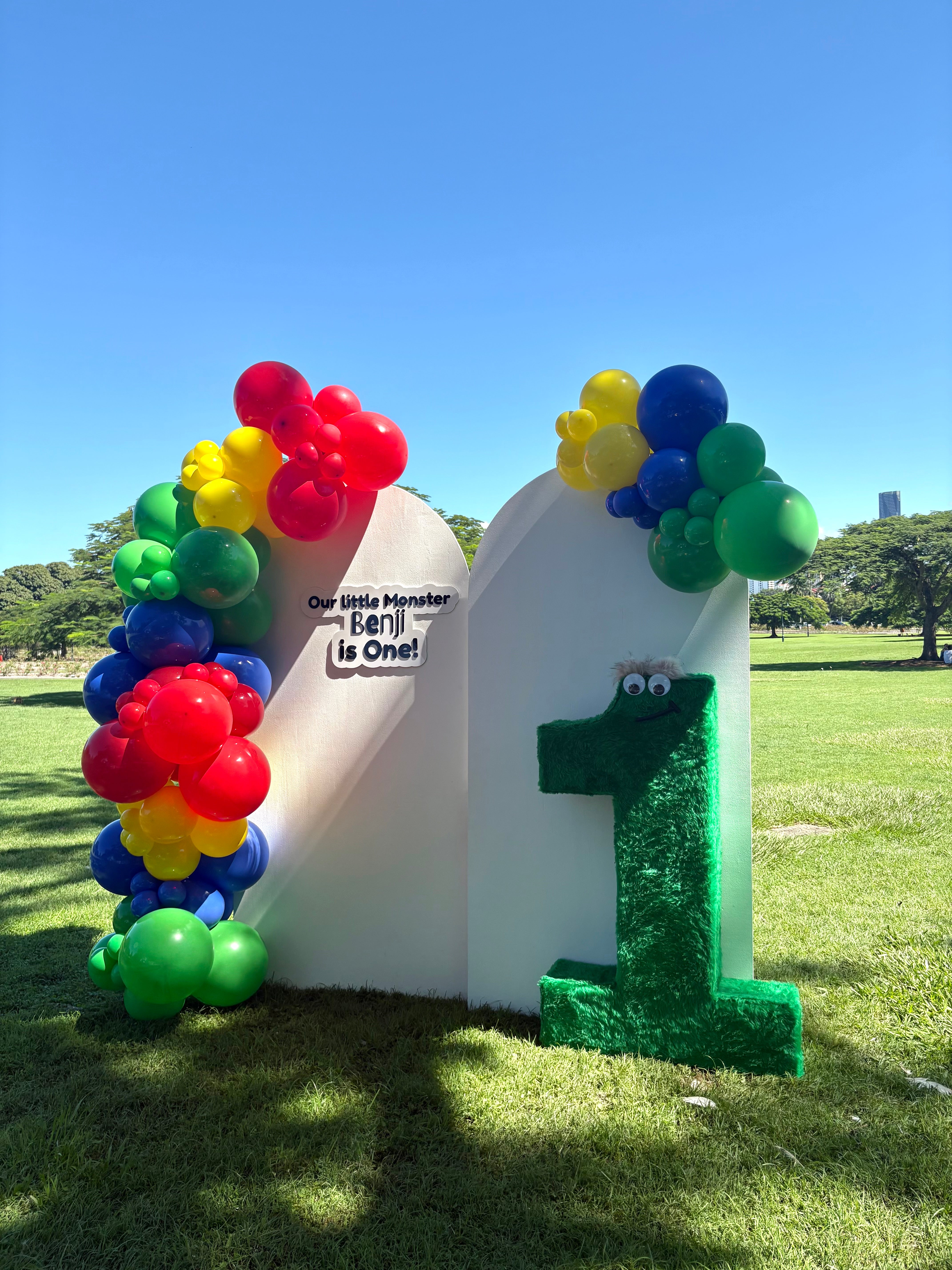 LITTLE MONSTER 1ST BIRTHDAY PACKAGE