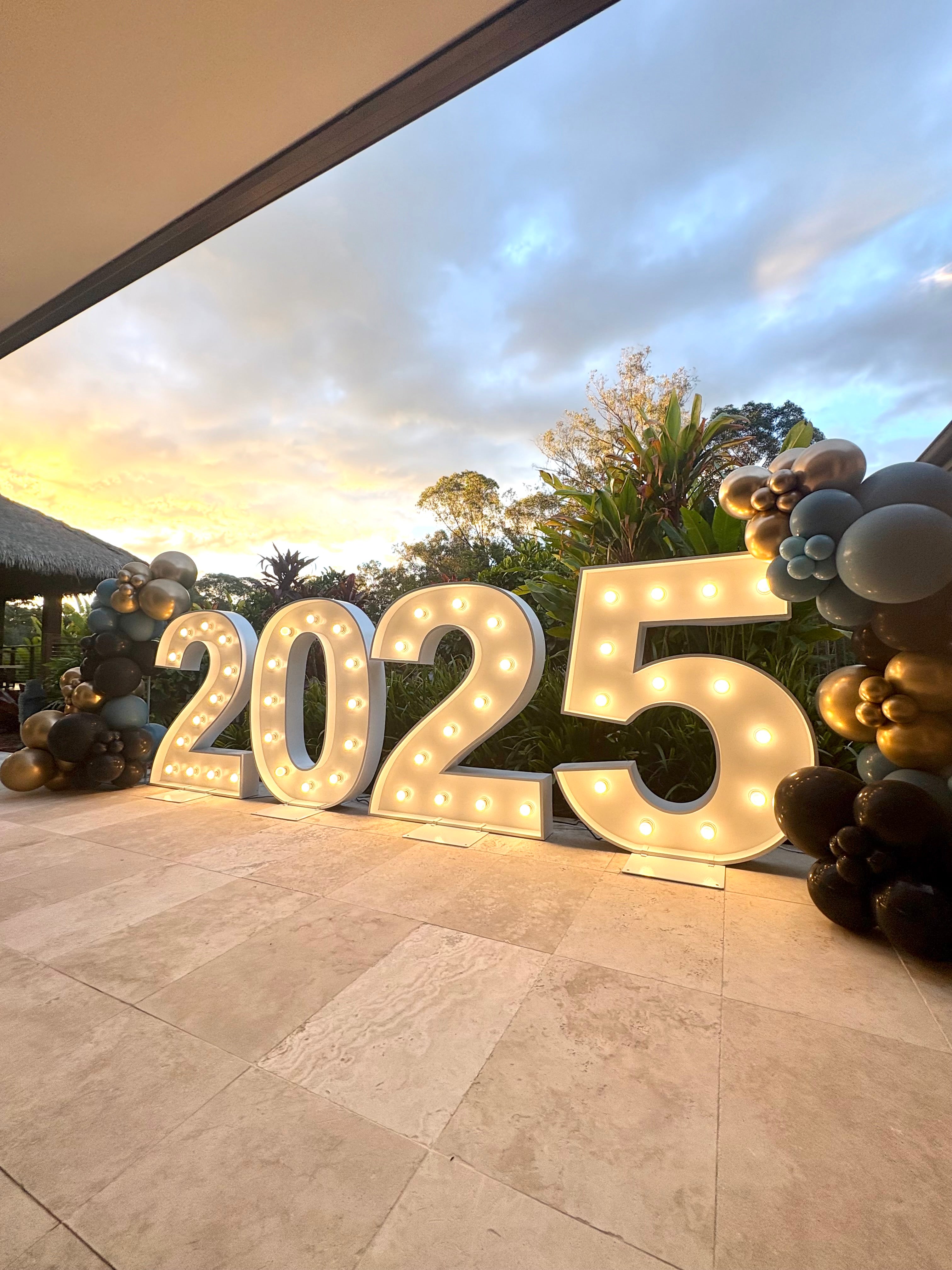 2025 Light up Numbers